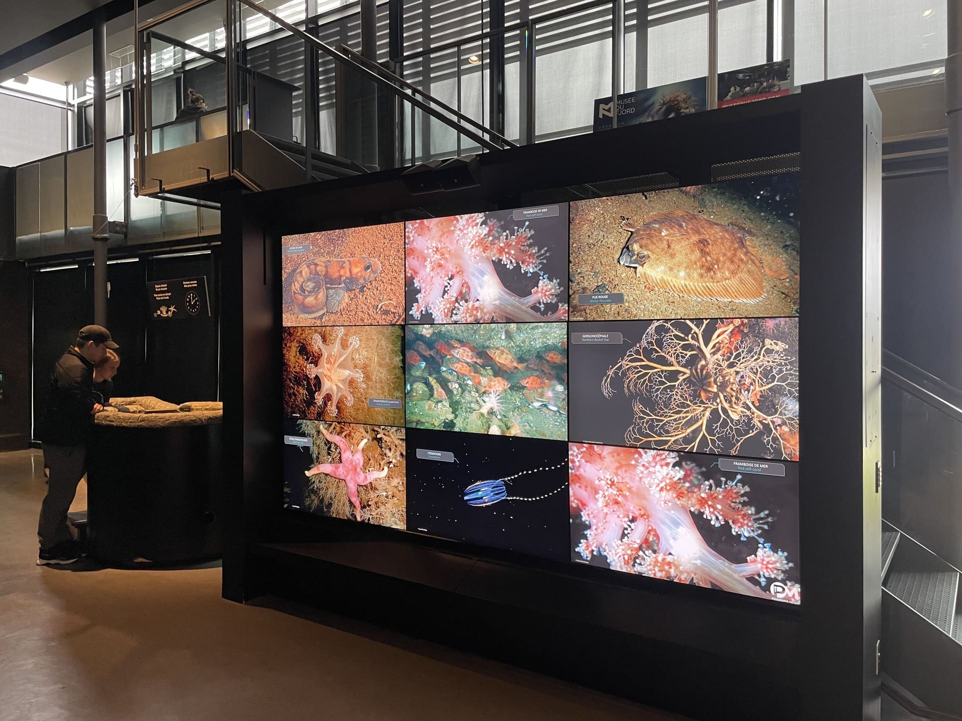 Pour une exposition interactive, le Musée du Fjord a utilisé des téléviseurs ACL. - Panorama Média